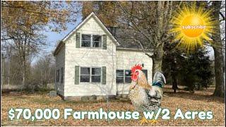 Look  It's a $70k Farmhouse  in Michigan w/2 Acres