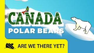 Canada: Polar Bears - Travel Kids in North America