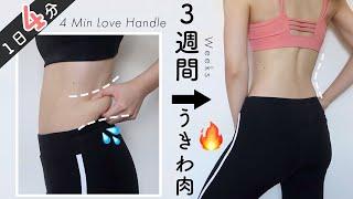 4MIN | LOSE Love Handles & Lower Back Fat in 3 WEEKS!! *No Equipment*