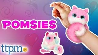 Pomsies - Wearable Virtual Pom Pom Pets [REVIEW] | Skyrocket Toys