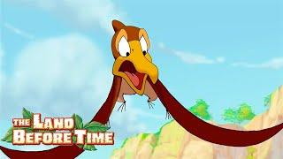 The Best of Petrie! 🪶 | 1 Hour Special | The Land Before Time