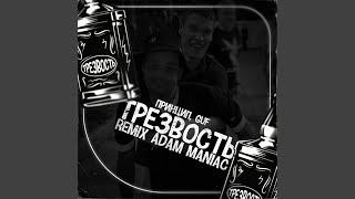 Трезвость (Adam Maniac Remix)