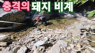 사람이 자주먹는 "돼지 비계"를 통발에 넣었더니~ 산메기 터졌다!!