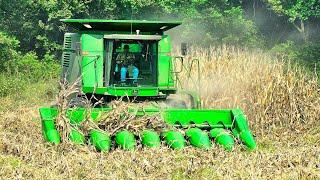 Corn Harvest 2024 Starts Strong! The Joyce Brothers are back!