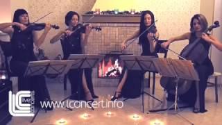 String quartet. Заказать струнный квартет.