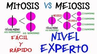 Diferencia Mitosis y Meiosis NIVEL EXPERTO en 2 minutos [Fácil y Rápido] | BIOLOGÍA |