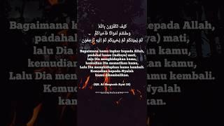 QS. Al-Baqarah Ayat 28 #alquran #quotes #motivasidiri #ardhystory #storywa #fypシ゚viral