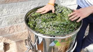 Distillation of Rosemary essential oil - distiller plus