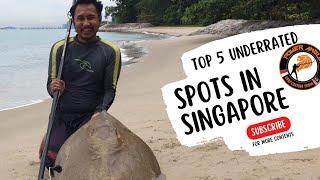 Top 5 Underrated Surfcasting Spots in Singapore