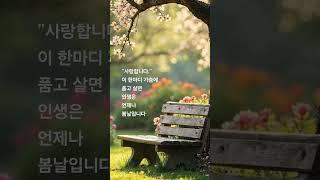 고마운 당신께~ #숲속치유음악 #stressreliefmusic #머리가맑아지는힐링음악 #birdsounds #birdsound #힐링트리뮤직 #relaxingharpmusic
