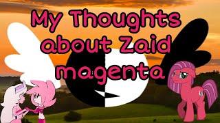 My Thoughts about Zaid Magenta/MisAnthro Pony