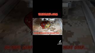 *I do not own the rights to this music* #youtubeshorts #reels #hibachi #fashion