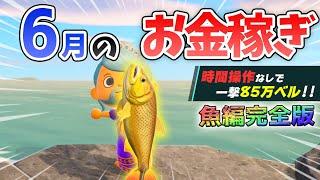 【あつ森】6月のお金の稼ぎ方！時間操作なしで効率よく離島1往復80万ベルを稼ぐ最強の方法！サメやドラド、ピラルクを乱獲するための金策法解説【あつまれどうぶつの森　6月お金の稼ぎ方　魚編】