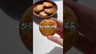… 하트 모양 맞습니다