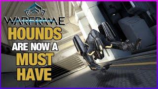 THIS COMPANION IS BETTER THAN SOME WARFRAMES | Hounds Companion Build 2025