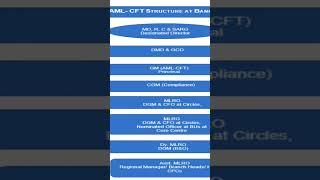 Bank Promotion AML - CFT Structure