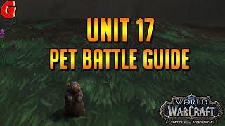 Unit 17 Pet Battle Guide - BFA