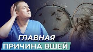 Какая НАСТОЯЩАЯ причина вшивости? Профилактика и лечение