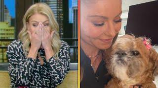 Kelly Ripa in Tears Over Death of Longtime Dog Chewie