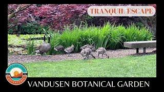 Tranquil Escape: VanDusen Botanical Garden (Vancouver, BC)