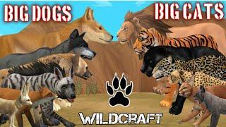 wildcraft all Normal Animal NO Boss how much big cats in game and how many animals