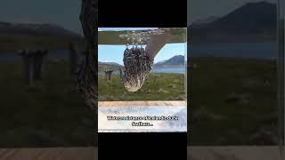 Interesting clips to watch, PART-59 #interesting #clips #facts #amazing #shorts