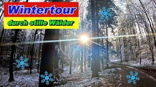 Top Winterwanderung in der Ortenau nahe Lahr | zauberhaftes Wetter 