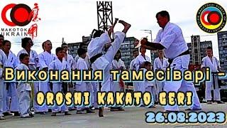 Виконання тамесіварі  Oroshi kakato geri. 26.08.23 #спорт #карате #тамесіварі #tameshiwari