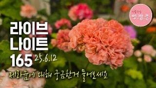 멍밥풀,라이브나이트 165.제라늄에 대해 궁금한거 물어보세요