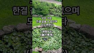 모든 것은 한결 같을 수 없으며 모두 변한다. #불교 #제행무상 #삼법인 #금강경 #경전 #마음공부 #마음다스리기 #마음이편해지는영상 #마음의평화 #마음작용 #좋은글 #철학