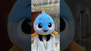 진짜 홍박사가 나타났다 