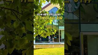 양산에 새로 생긴 스타벅스가 핫한 이유 #스타벅스통도사 #통도사스타벅스