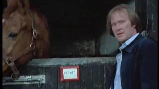 Minder, Arthur Daley, Terry McCann - Terry meets the Horse!