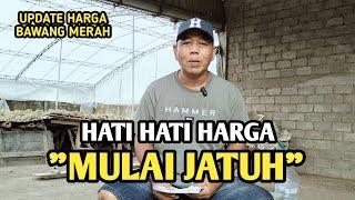 HATI HATI HARGA MULAI JATUH | UPDATE HARGA BAWANG MERAH BJM CHANNEL