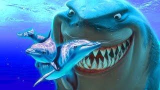 ПОЧЕМУ АКУЛЫ БОЯТСЯ ДЕЛЬФИНОВ? WHY SHARKS DOLPHINS ARE AFRAID ?