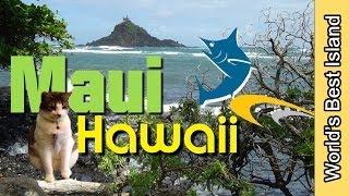 Maui Hawaii Best Of Video - Enjoy Each Day In Maui Hawaii to The Max