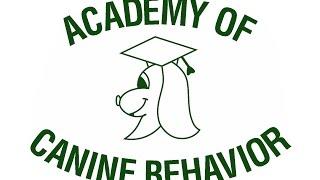 The Academy of Canine Behavior