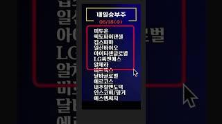 미리보는 내일승부주 - 수요일 공략주 10선