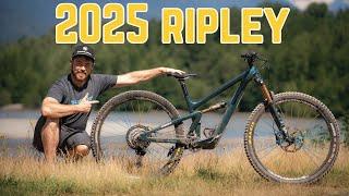 The one I'd get - 2025 Ibis Ripley