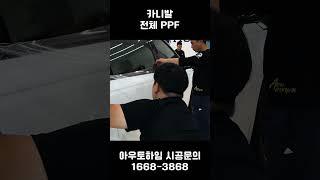 ppf필름으로 카니발 전체 시공