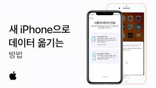 새 iPhone으로 데이터 옮기는 방법