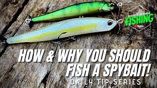 Pro Secrets Exposed! How & Why YOU Should Fish a Spybait! (Ep. 53)