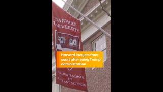 Harvard lawyers front court after suing Trump administration
