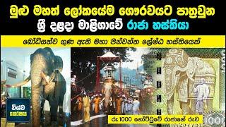 දළදා මාළිගාවේ රාජා හස්තියාගේ කතාව / Life Story of Raja Tusker Sri Lanka / Sinhala / Wishwakoshaya