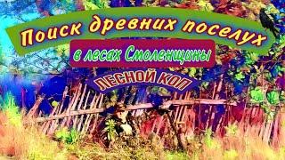 Поиск древних поселух, лесной коп по старине, в лесах Смоленщины. Серебряные монеты, коп в глуши.