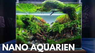 Die BESTEN Aquarien auf der Aqua Expo - ENAC 2024