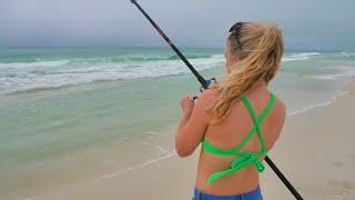 I Can't Believe She Caught This!  1 HOUR of BEACH Catch and Cooks! (DELICIOUS SEAFOOD)