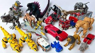 Full Transformers LEGACY: Kingdom Beast Wars Maximals Assemble - Stopmotion OPTIMUS PRIME & MEGATRON