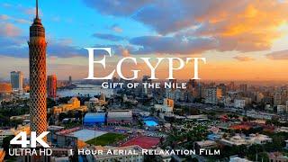 [4K] EGYPT مصر  1 Hour Drone Aerial Relaxation Film of the Pyramids of Giza, Cairo & Alexandria