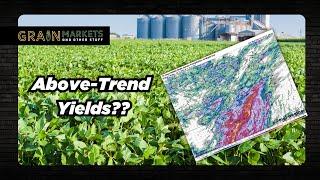 "Perfectly Timed" Rains: Above-Trend Corn and Soybean Yields??